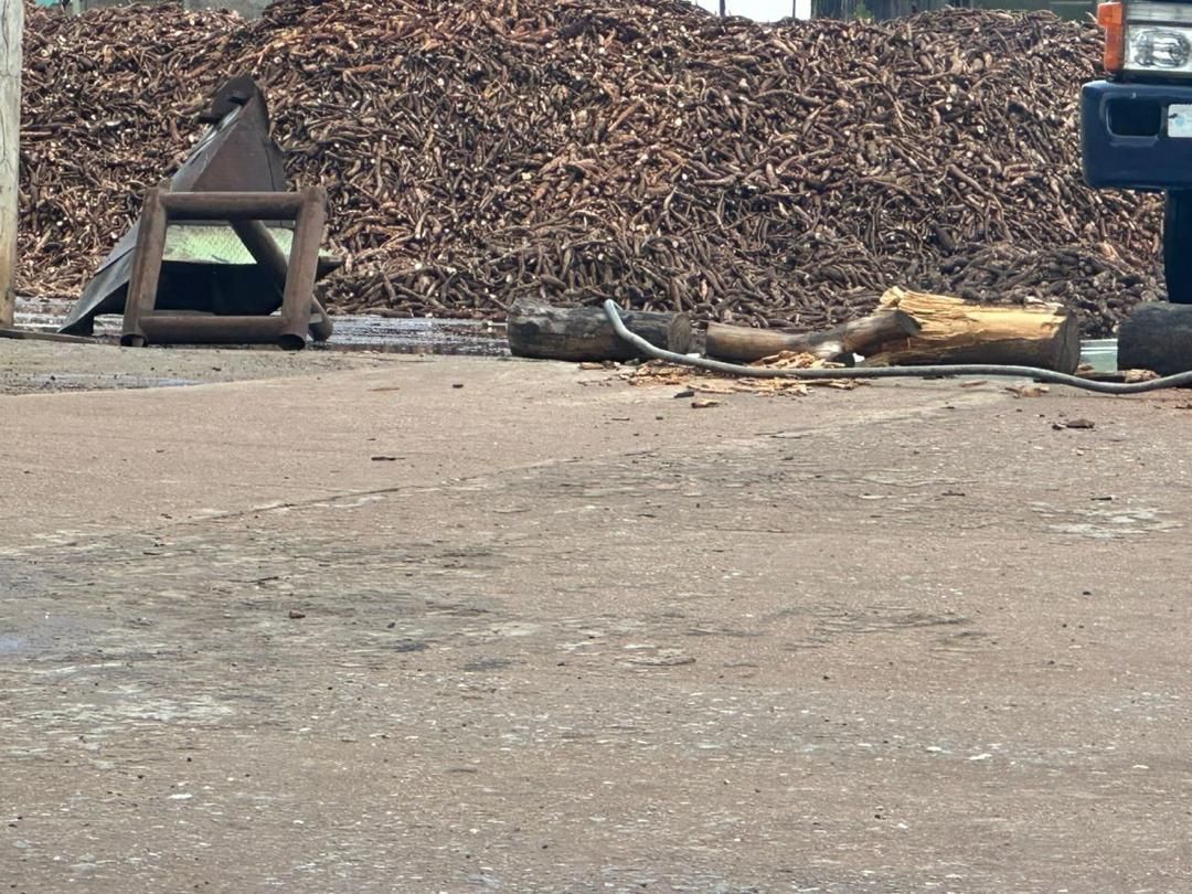 Dried Cassava
